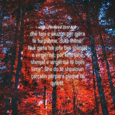 Picture 04 - Ligji i Përtërirë 22:17 ALB - dhe tani e akuzon për gjëra të turpshme, duke - Bible Verse Picture