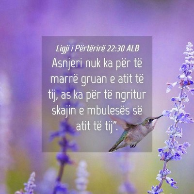 Picture 04 - Ligji i Përtërirë 22:30 ALB - Asnjeri nuk ka për të marrë gruan e atit të - Bible Verse Picture