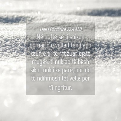 Picture 04 - Ligji i Përtërirë 22:4 ALB - Në qoftë se ti shikon gomarin e vëllait tënd - Bible Verse Picture