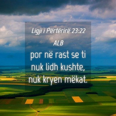 Picture 04 - Ligji i Përtërirë 23:22 ALB - por në rast se ti nuk lidh kushte, nuk kryen - Bible Verse Picture