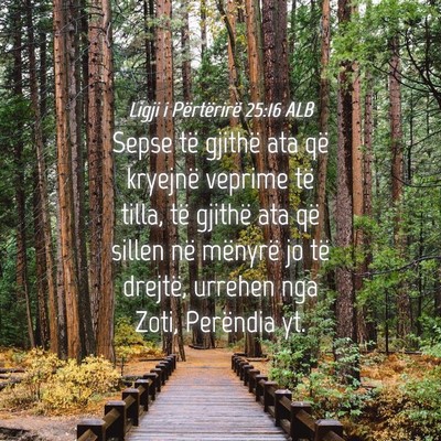 Picture 04 - Ligji i Përtërirë 25:16 ALB - Sepse të gjithë ata që kryejnë veprime të - Bible Verse Picture