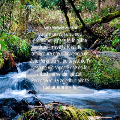 Picture 04 - Ligji i Përtërirë 26:2 ALB - do të marrësh disa nga prodhimet e para të të - Bible Verse Picture