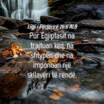 Picture 04 - Ligji i Përtërirë 26:6 ALB - Por Egjiptasit na trajtuan keq, na shtypën dhe - Bible Verse Picture