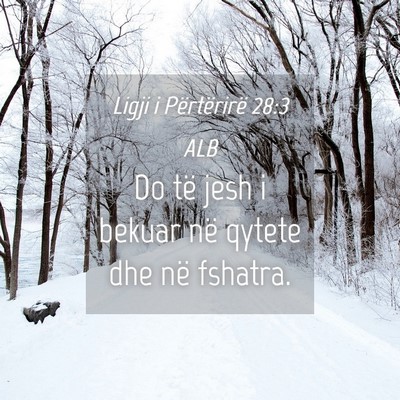 Picture 04 - Ligji i Përtërirë 28:3 ALB - Do të jesh i bekuar në qytete dhe në - Bible Verse Picture