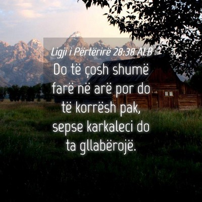Picture 04 - Ligji i Përtërirë 28:38 ALB - Do të çosh shumë farë në arë por do të - Bible Verse Picture