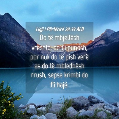 Picture 04 - Ligji i Përtërirë 28:39 ALB - Do të mbjellësh vreshta, do t’i punosh, por - Bible Verse Picture