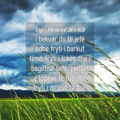Picture 04 - Ligji i Përtërirë 28:4 ALB - I bekuar do të jetë edhe fryti i barkut tënd, - Bible Verse Picture