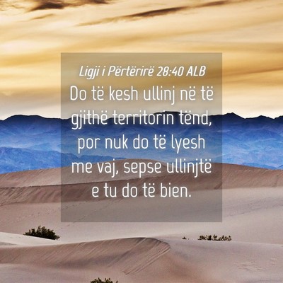 Picture 04 - Ligji i Përtërirë 28:40 ALB - Do të kesh ullinj në të gjithë territorin - Bible Verse Picture