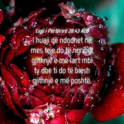Picture 04 - Ligji i Përtërirë 28:43 ALB - I huaji që ndodhet në mes teje do të ngrihet - Bible Verse Picture