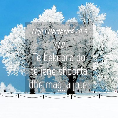 Picture 04 - Ligji i Përtërirë 28:5 ALB - Të bekuara do të jenë shporta dhe magjja - Bible Verse Picture