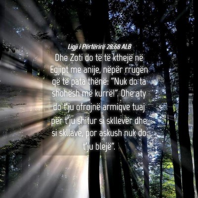 Picture 04 - Ligji i Përtërirë 28:68 ALB - Dhe Zoti do të të kthejë në Egjipt me anije, - Bible Verse Picture