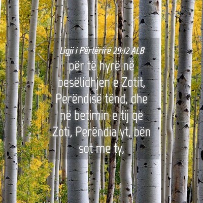 Picture 04 - Ligji i Përtërirë 29:12 ALB - për të hyrë në besëlidhjen e Zotit, - Bible Verse Picture