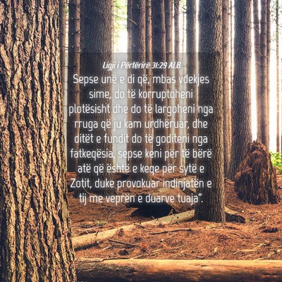 Picture 04 - Ligji i Përtërirë 31:29 ALB - Sepse unë e di që, mbas vdekjes sime, do të - Bible Verse Picture
