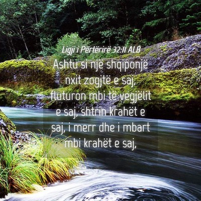 Picture 04 - Ligji i Përtërirë 32:11 ALB - Ashtu si një shqiponjë nxit zogjtë e saj, - Bible Verse Picture
