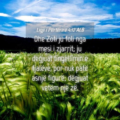 Picture 04 - Ligji i Përtërirë 4:12 ALB - Dhe Zoti ju foli nga mesi i zjarrit; ju dëgjuat - Bible Verse Picture