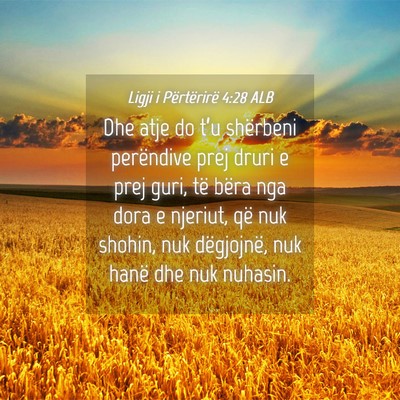 Picture 04 - Ligji i Përtërirë 4:28 ALB - Dhe atje do t’u shërbeni perëndive prej druri - Bible Verse Picture