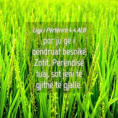 Picture 04 - Ligji i Përtërirë 4:4 ALB - por ju që i qëndruat besnikë Zotit, - Bible Verse Picture