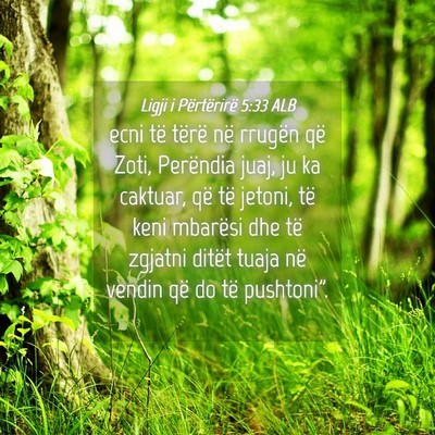 Picture 04 - Ligji i Përtërirë 5:33 ALB - ecni të tërë në rrugën që Zoti, Perëndia - Bible Verse Picture