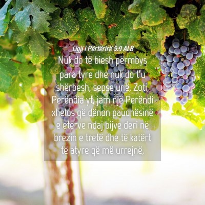 Picture 04 - Ligji i Përtërirë 5:9 ALB - Nuk do të biesh përmbys para tyre dhe nuk do - Bible Verse Picture