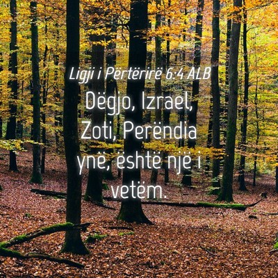 Picture 04 - Ligji i Përtërirë 6:4 ALB - Dëgjo, Izrael, Zoti, Perëndia ynë, është - Bible Verse Picture