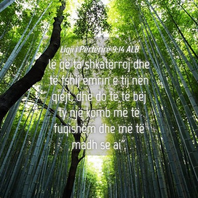 Picture 04 - Ligji i Përtërirë 9:14 ALB - lë që ta shkatërroj dhe të fshij emrin e tij - Bible Verse Picture