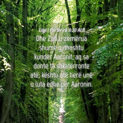 Picture 04 - Ligji i Përtërirë 9:20 ALB - Dhe Zoti u zemërua shumë gjithashtu kundër - Bible Verse Picture