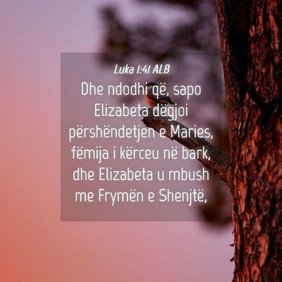 Picture 04 - Luka 1:41 ALB - Dhe ndodhi që, sapo Elizabeta dëgjoi - Bible Verse Picture