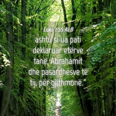 Picture 04 - Luka 1:55 ALB - ashtu si ua pati deklaruar etërve tanë, - Bible Verse Picture