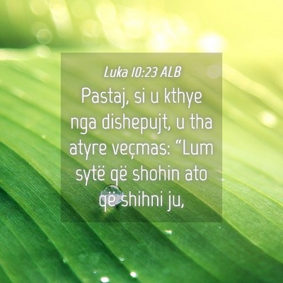 Picture 04 - Luka 10:23 ALB - Pastaj, si u kthye nga dishepujt, u tha atyre - Bible Verse Picture