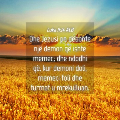 Picture 04 - Luka 11:14 ALB - Dhe Jezusi po dëbonte një demon që ishte - Bible Verse Picture