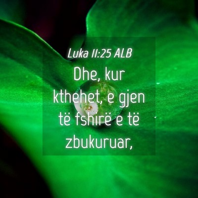 Picture 04 - Luka 11:25 ALB - Dhe, kur kthehet, e gjen të fshirë e të - Bible Verse Picture