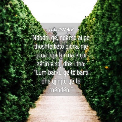 Picture 04 - Luka 11:27 ALB - Ndodhi që, ndërsa ai po thoshte këto gjëra, - Bible Verse Picture