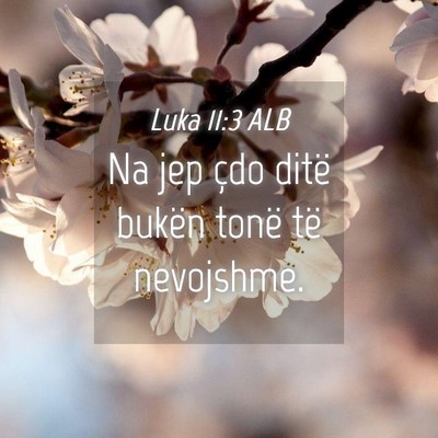 Picture 04 - Luka 11:3 ALB - Na jep çdo ditë bukën tonë të - Bible Verse Picture