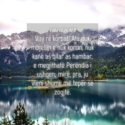 Picture 04 - Luka 12:24 ALB - Vini re korbat! Ata nuk mbjellin e nuk korrin, - Bible Verse Picture