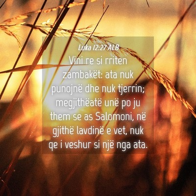 Picture 04 - Luka 12:27 ALB - Vini re si rriten zambakët: ata nuk punojnë dhe - Bible Verse Picture