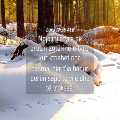 Picture 04 - Luka 12:36 ALB - Ngjajini atyre që presin zotërinë e tyre, kur - Bible Verse Picture