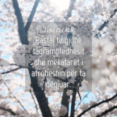 Picture 04 - Luka 15:1 ALB - Pastaj të gjithë tagrambledhësit dhe - Bible Verse Picture