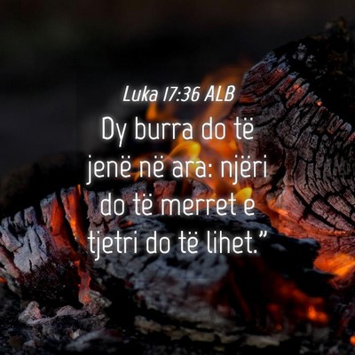 Picture 04 - Luka 17:36 ALB - Dy burra do të jenë në ara: njëri do të - Bible Verse Picture