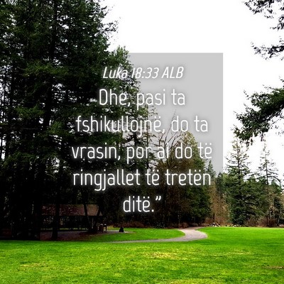 Picture 04 - Luka 18:33 ALB - Dhe, pasi ta fshikullojnë, do ta vrasin, por ai - Bible Verse Picture