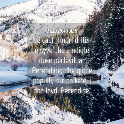 Picture 04 - Luka 18:43 ALB - Në çast rimori dritën e syve dhe e ndiqte duke - Bible Verse Picture