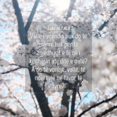 Picture 04 - Luka 18:7 ALB - Vallë Perëndia nuk do të marrë hak për të - Bible Verse Picture