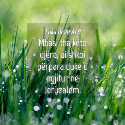 Picture 04 - Luka 19:28 ALB - Mbasi tha këto gjëra, ai shkoi përpara duke u - Bible Verse Picture