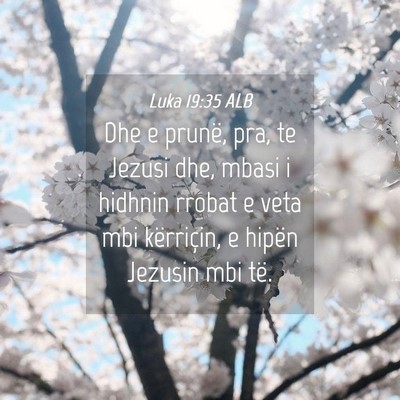 Picture 04 - Luka 19:35 ALB - Dhe e prunë, pra, te Jezusi dhe, mbasi i hidhnin - Bible Verse Picture
