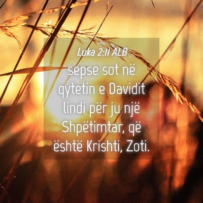 Picture 04 - Luka 2:11 ALB - sepse sot në qytetin e Davidit lindi për ju - Bible Verse Picture
