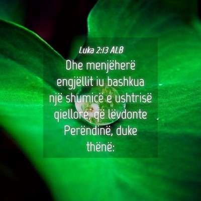 Picture 04 - Luka 2:13 ALB - Dhe menjëherë engjëllit iu bashkua një - Bible Verse Picture