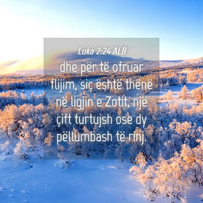 Picture 04 - Luka 2:24 ALB - dhe për të ofruar flijim, siç është thënë - Bible Verse Picture