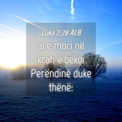 Picture 04 - Luka 2:28 ALB - ai e mori në krah e bekoi Perëndinë duke - Bible Verse Picture