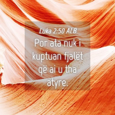 Picture 04 - Luka 2:50 ALB - Por ata nuk i kuptuan fjalët që ai u tha - Bible Verse Picture