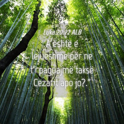 Picture 04 - Luka 20:22 ALB - A është e lejueshme për ne t’i paguajmë - Bible Verse Picture