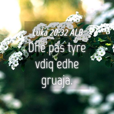 Picture 04 - Luka 20:32 ALB - Dhe pas tyre vdiq edhe - Bible Verse Picture